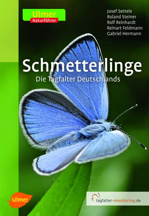 b2ap3_thumbnail_Settele_NF_Schmetterlinge3A.jpg